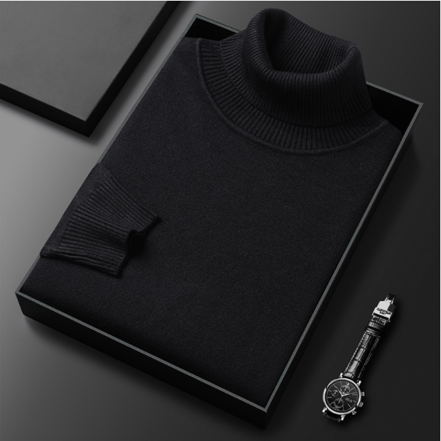 Armin | Herren Lässiger Rollkragenpullover für den Frühling