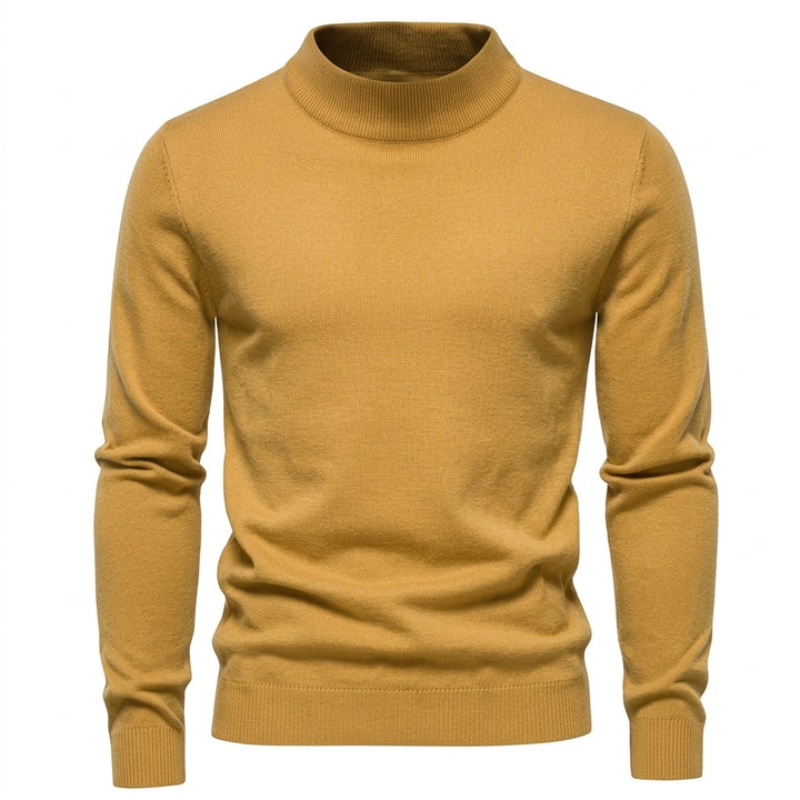 Alexander | Herren Frühlings Slim-Fit Rollkragenpullover