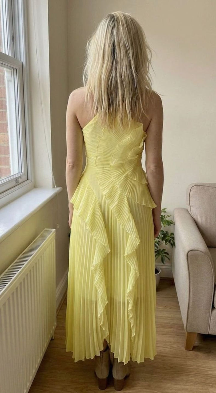 Damen Plissee Maxikleid mit Rüschen Neckholder Maxi