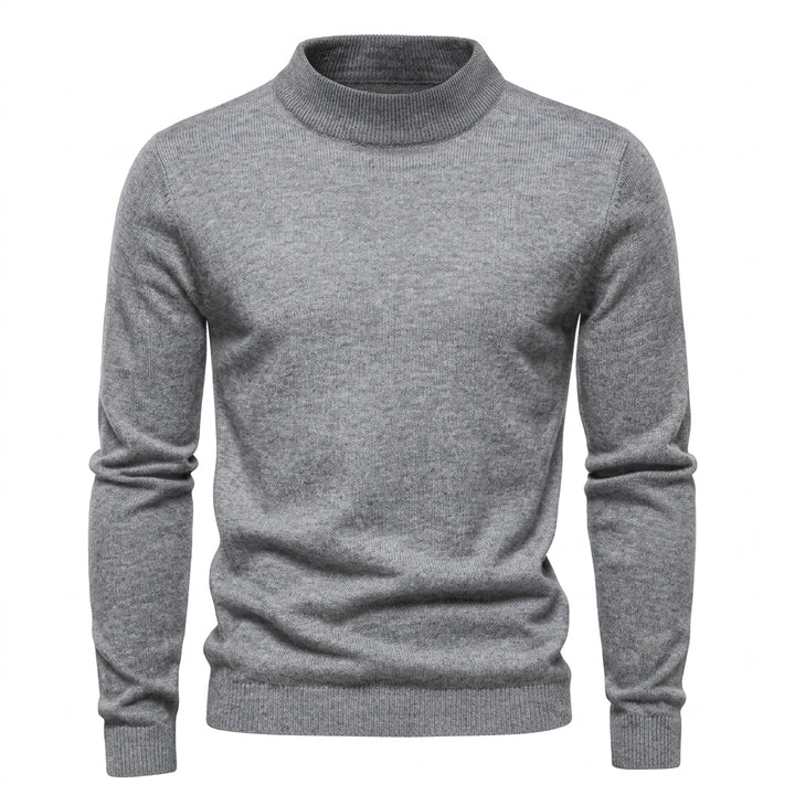 Alexander | Herren Frühlings Slim-Fit Rollkragenpullover